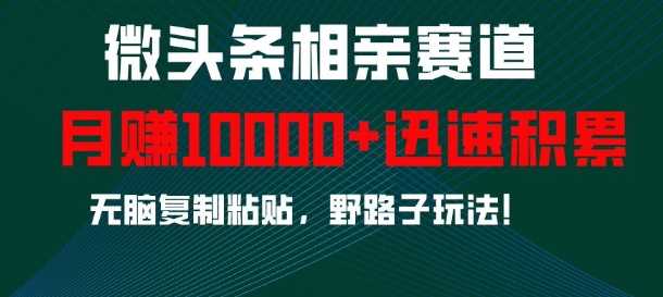 微头条相亲赛道4.0玩法，无脑复制粘贴，稳定日入100+-无双副业