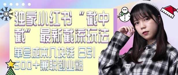 小红书截流新玩法：低成本高效引流技巧-无双副业