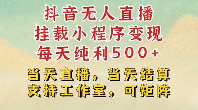 抖音无人直播挂载小程序变现日赚500+，支持工作室矩阵操作-无双副业