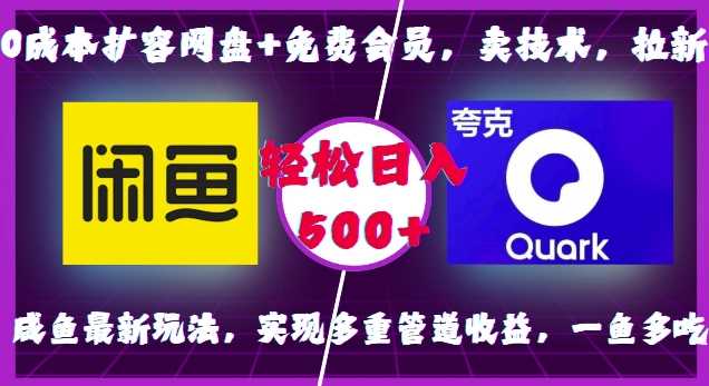 网盘扩容与免费会员技术，咸鱼多重收益玩法-无双副业