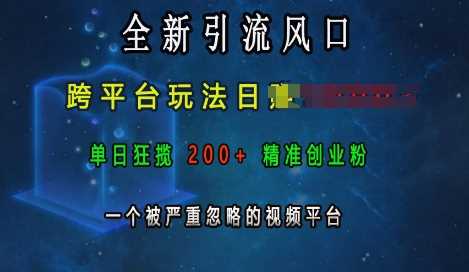 西瓜视频跨平台引流日入上k，精准创业粉获取秘籍-无双副业