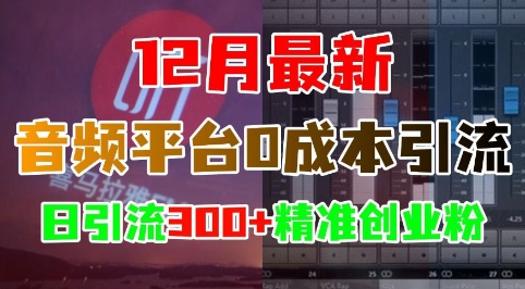 音频平台0成本引流策略，日引300+精准创业粉-无双副业