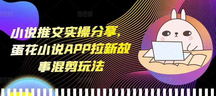 蛋花小说APP拉新故事混剪玩法实操指南-无双副业