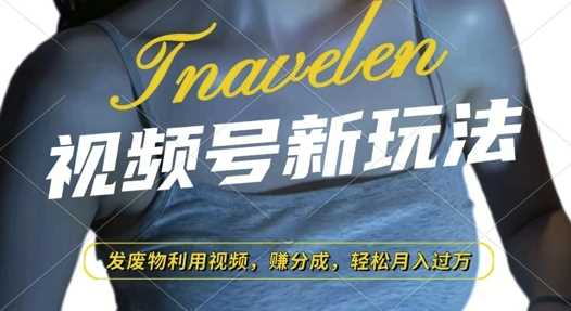 视频号废物利用新玩法，轻松月入过万-无双副业
