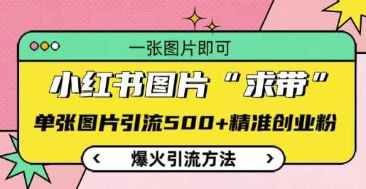 小红书图片‘求带’引流法，单张图片吸引500+精准创业粉-无双副业