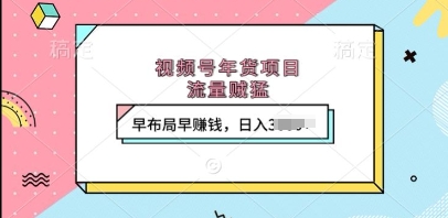 视频号年货直播项目，流量大转化高，日入千元不是梦-无双副业