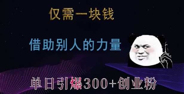 借助他人力量单日引爆300+创业粉的秘诀-无双副业