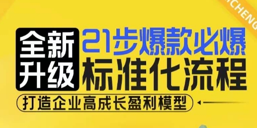 企业高成长盈利模型：21步爆款标准化流程全新升级-无双副业