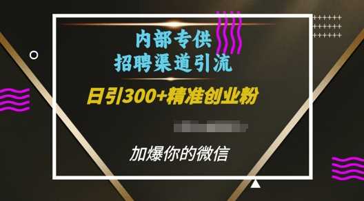 招聘平台日引流300+创业粉的秘诀-无双副业