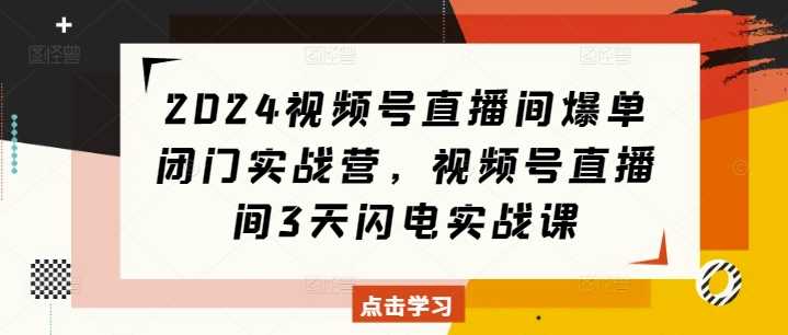 视频号直播间爆单实战营：3天闪电起号技巧-无双副业