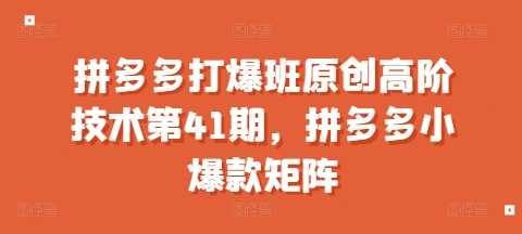 拼多多小爆款矩阵打造与全店动销策略-无双副业