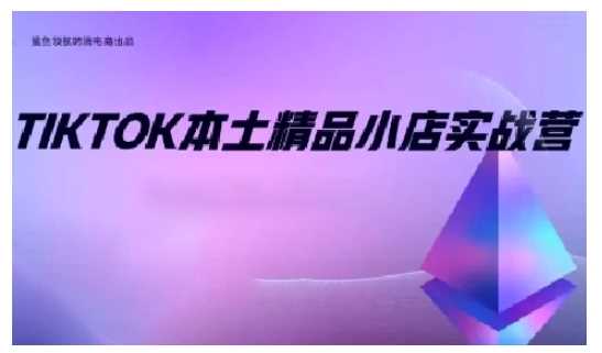 TikTok本土精品小店出海实战全攻略-无双副业