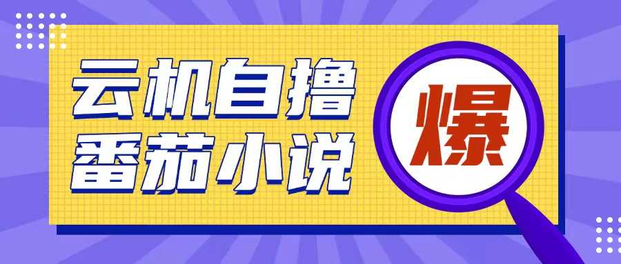 云手机自撸小说玩法揭秘，低成本高收益操作简单-无双副业