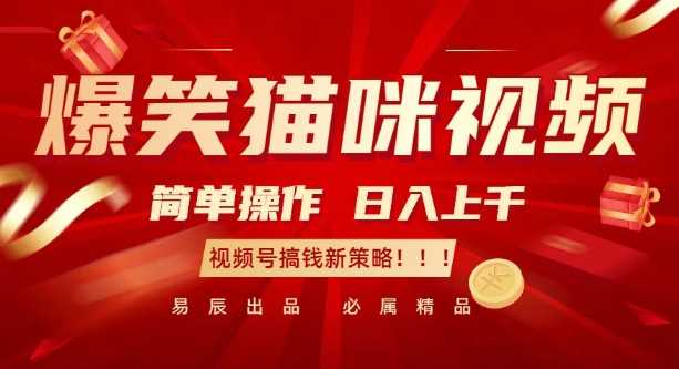 爆笑猫咪视频：视频号日入过K的简单操作策略-无双副业