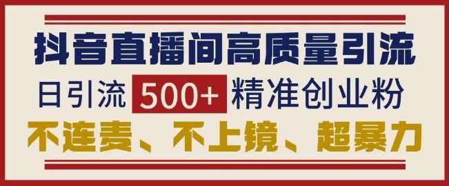 抖音直播间高效引流创业粉技巧，日引500+精准用户-无双副业