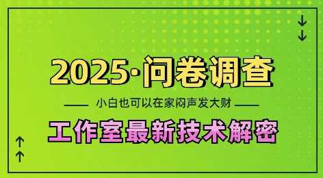 2025年问卷调查工作室技术：在家轻松赚钱指南-无双副业