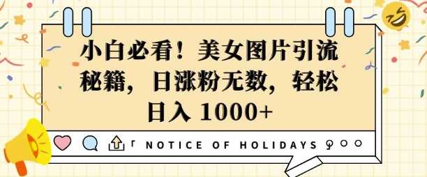 美女图片引流秘籍，日涨粉无数轻松变现-无双副业