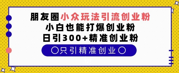 朋友圈高效引流创业粉技巧，日引300+精准粉丝-无双副业