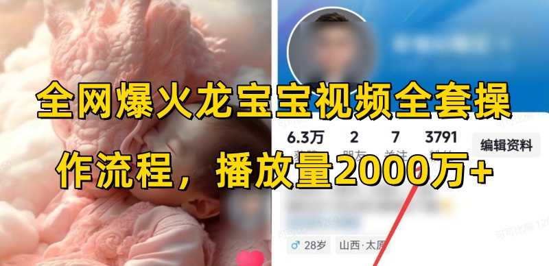 龙宝宝视频制作与变现全攻略，轻松获取2000万+播放量-无双副业