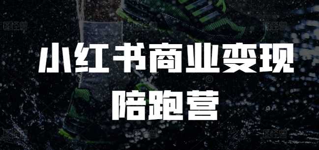 小红书商业变现与电商运营实战教程-无双副业