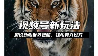 动物世界解说视频赚钱计划，轻松月入过万，操作简单-无双副业