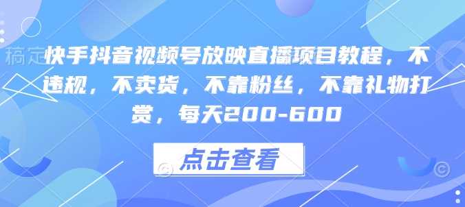 快手抖音视频号放映直播项目教程，轻松日赚200-600元-无双副业