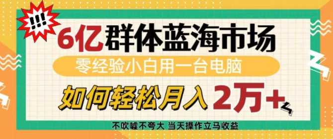零经验小白用电脑轻松月入过万的蓝海市场揭秘-无双副业