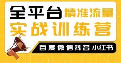 全平台精准流量实战训练营，SEO引流教程-无双副业