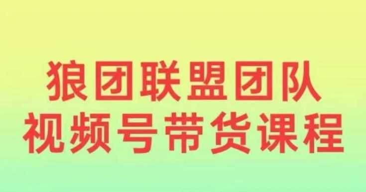 2024视频号带货教程：小白快速入门指南-无双副业