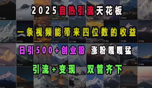 自热引流视频带来高收益，日引500+创业粉的秘诀-无双副业