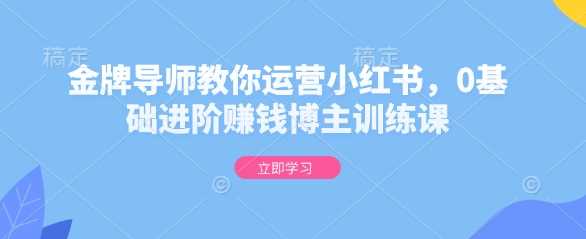 金牌导师指导0基础运营小红书成为赚钱博主-无双副业