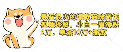 爆款猫咪做饭视频制作教程，小白快速涨粉技巧-无双副业