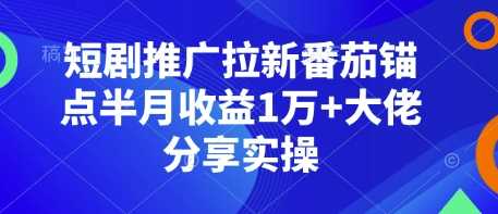 短剧推广拉新番茄锚点实操，半月收益破万-无双副业