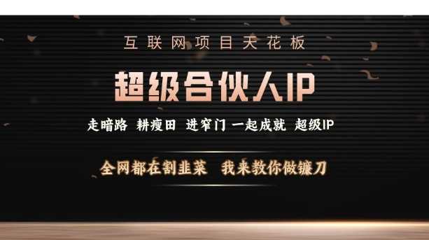超级合伙人IP打造：从互联网小白到镰刀操盘手-无双副业