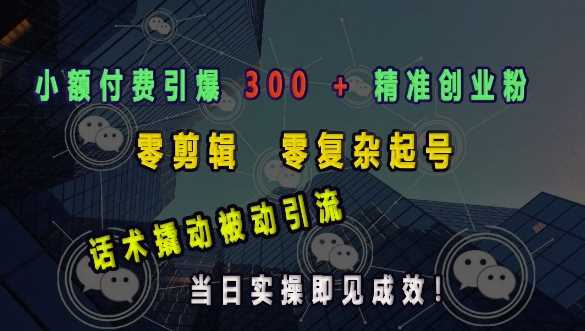 小额付费快速吸引300+精准创业粉，零剪辑高效引流-无双副业