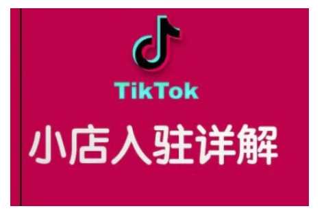 TikTok跨境小店运营指南：从入驻到销量增长-无双副业