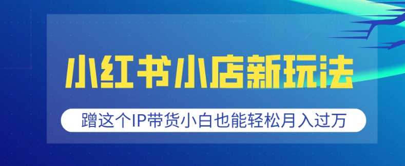 小红书小店蹭IP带货新玩法，轻松月入过万-无双副业