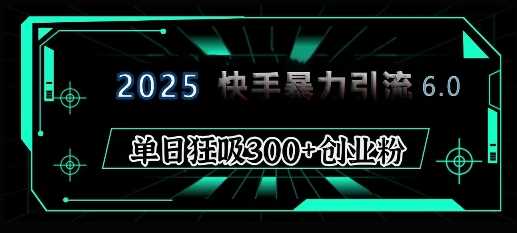 快手6.0教程：单日吸引300+精准创业粉的完整指南-无双副业
