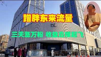 借势胖东来流量，快速涨粉实现收益飙升-无双副业
