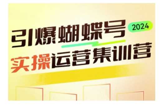 深度掌握蝴蝶号运营，实现高效流量变现-无双副业