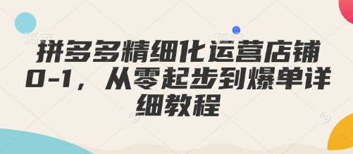 拼多多店铺从零起步到爆单的精细化运营教程-无双副业