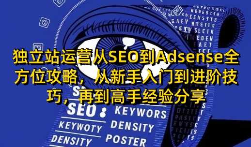 独立站运营SEO与Adsense全方位攻略，新手到高手技巧分享-无双副业