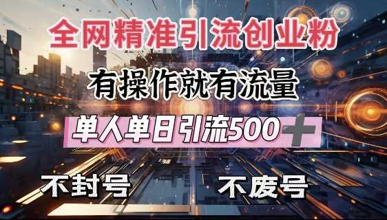高效引流创业粉方法，单人日引流500+不封号-无双副业