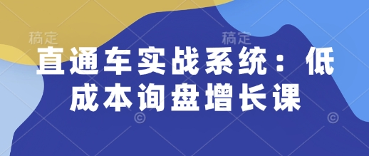 直通车实战系统：低成本询盘增长与升职加薪技能课-无双副业
