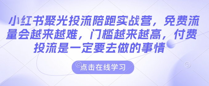 小红书聚光投流实战营：付费投流与精准流量获取-无双副业