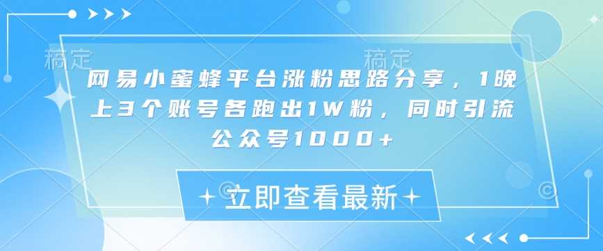 网易小蜜蜂平台快速涨粉与公众号引流技巧-无双副业