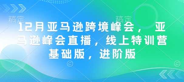 12月亚马逊跨境峰会与线上特训营基础版进阶版-无双副业