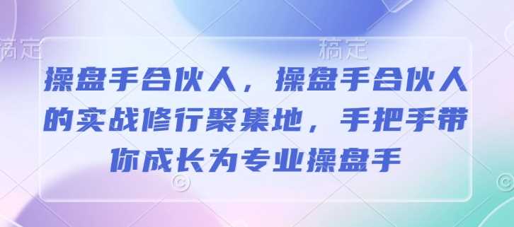 操盘手合伙人实战修行与专业成长指南-无双副业
