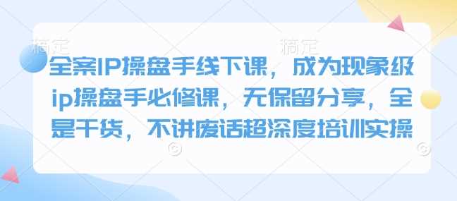 全案IP操盘手线下课：打造现象级IP的必修课-无双副业