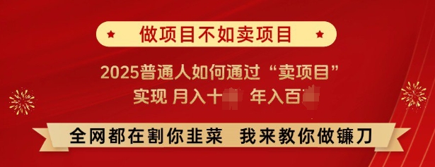 2025年普通人如何通过卖项目实现月入十万-无双副业